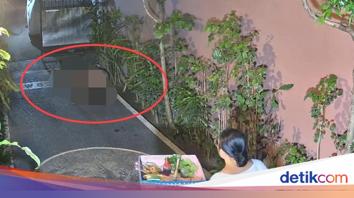 Turis Australia yang Terekam Berbuat Mesum di Depan Rumah Warga Badung Ditangkap Saat Hendak Terbang dari Ngurah Rai