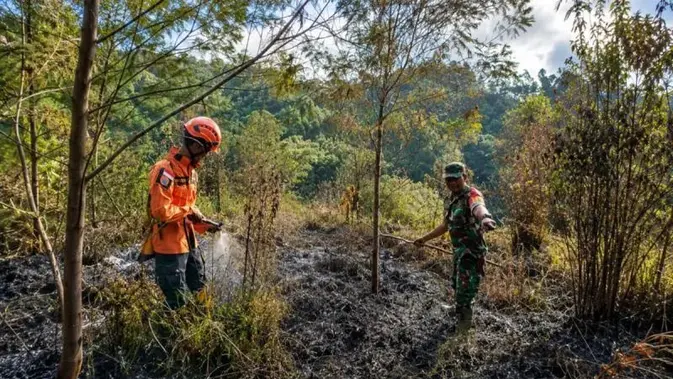 Gunung Semeru Terbakar, 170 Pendaki Ranu Kumbolo Dievakuasi, Jalur Ditutup Total