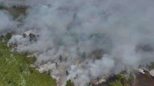Karhutla Kaltim Tembus 1.000 Hektare, Berau Terparah dengan 400 Hektare Lebih Terbakar