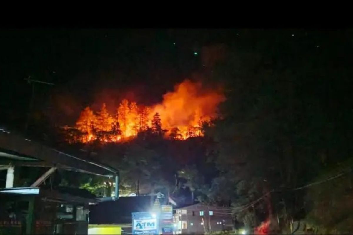 112 Karhutla di Sulsel hingga Agustus 2026, BPBD Sebut Enrekang Jadi Wilayah Terluas Terdampak