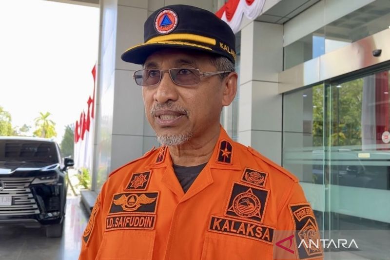 BPBD Catat 2.376 Hektare Lahan di Sultra Terbakar Hingga Juli 2026, Bombana Terparah