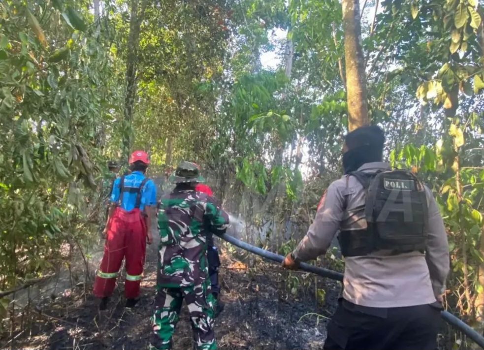 Kebakaran Lahan 1.200 Meter Persegi di Jl Apt Pranoto Samarinda, Warga Sempat Padamkan Api dengan Peralatan Seadanya