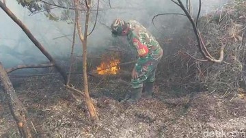 Gunung Semeru Ditutup Total, 172 Pendaki Dievakuasi dari Ranu Kumbolo