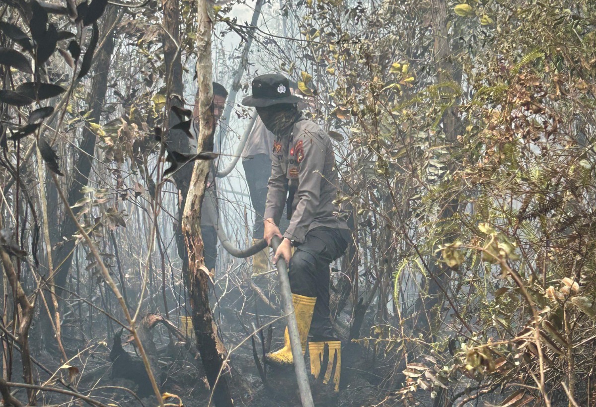 Karhutla Landa 2 Hektare Lahan Gambut di OKI, Personel Gabungan Dikerahkan Padamkan Api di Bawah Permukaan