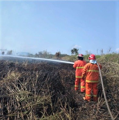 Pertamina Hulu Indonesia Kerahkan Personel dan Armada Pemadam untuk Karhutla di Kalimantan Utara, Titik Api di Bunyu Jadi Perhatian