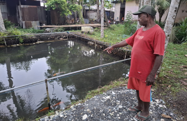 Produksi Ikan Air Tawar di Kepulauan Yapen Menurun, Pokdakan Tindafai Ketuapi Minta Bantuan Pakan ke Pemda