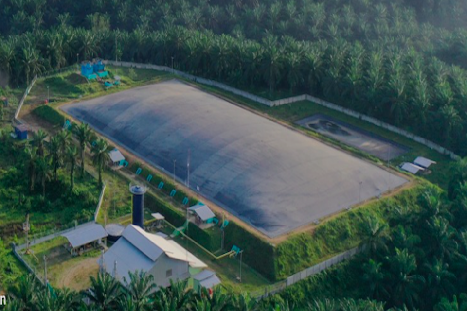 Felda Klaim Rugi Rp 11 Triliun di BWPT, Manajemen Tegaskan Tak Ada Hubungan Kontraktual