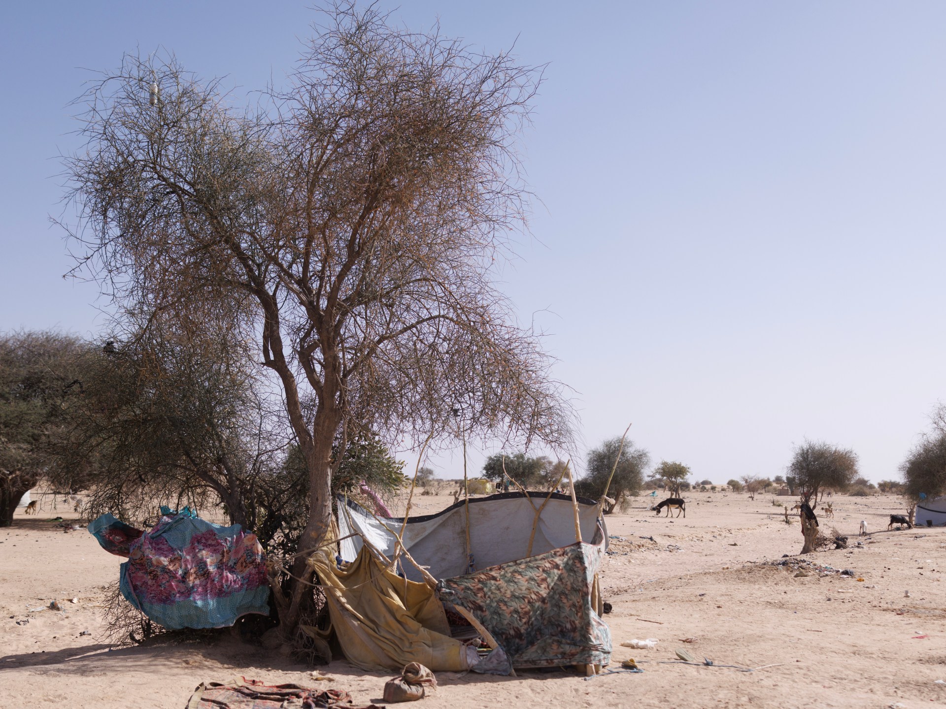 Chad Tuding Sudan Lancarkan Serangan Udara ke Pasar BBM di Perbatasan, 12 Tewas