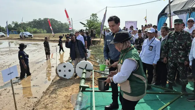 Lucky Hakim Canangkan Pertanian Modern, Panen Padi Indramayu Capai 10,45 Ton per Hektare