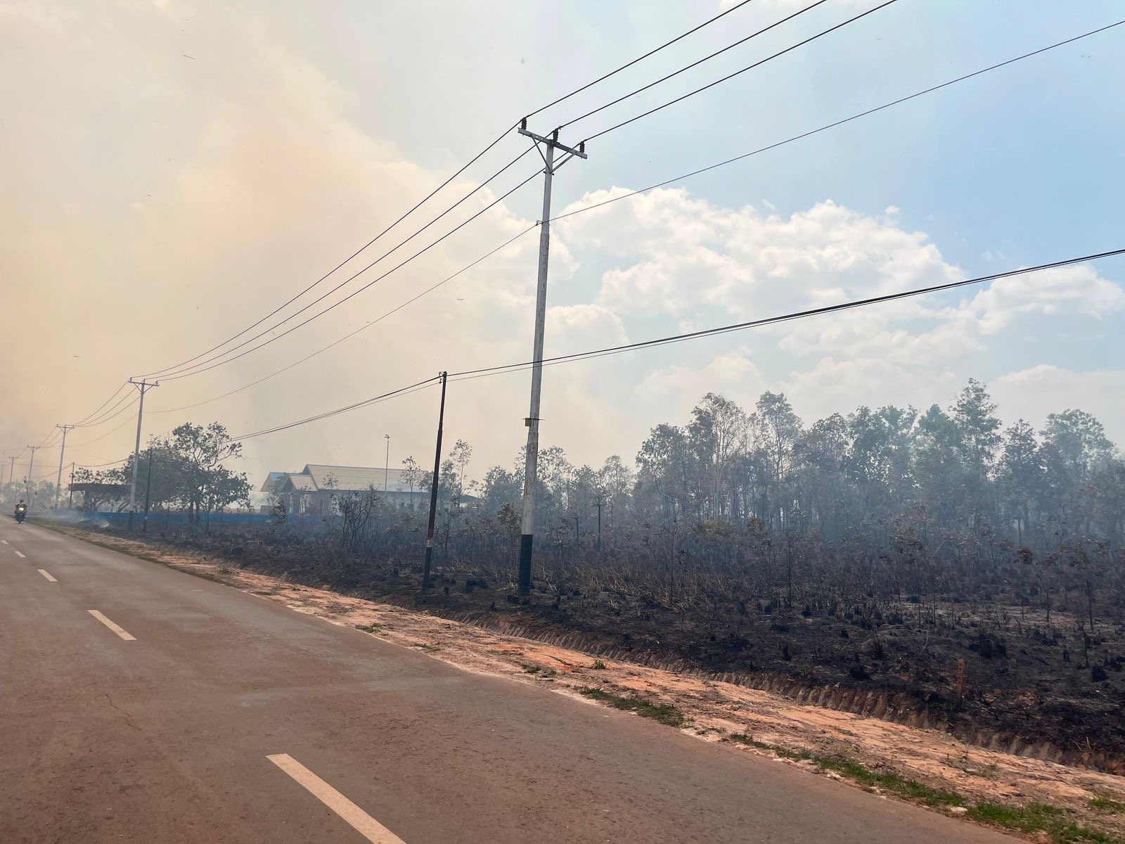 Kebakaran Hutan Sulawesi Tenggara Berulang Tiap Musim Kemarau, Peneliti Tegaskan: El Niño Memicu, Manusia yang Menyalakan Api