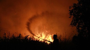 BMKG Catat PM2.5 Palangka Raya 494,9 µg/m3, Disdik Terapkan PJJ