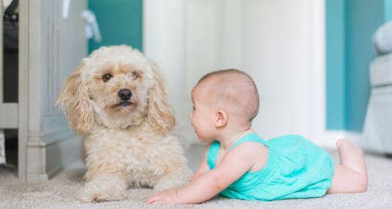 Bayi Ternyata Bisa Menyimpan Memori, Studi Ungkap Cara Kerja Otak yang Tak Terduga