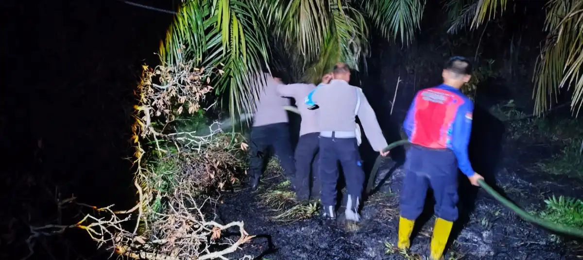 Karhutla Hanguskan 1 Hektare Lahan di Paser Belengkong, Polisi dan Damkar Kerahkan 14 Personel