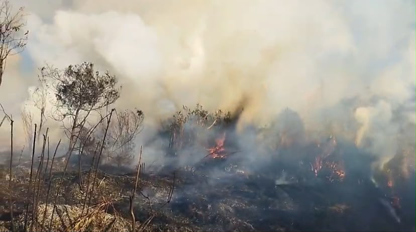 Karhutla Gunung Semeru Meluas hingga 10 Hektare, Water Bombing Terkendala Kabut dan Angin di Lumajang