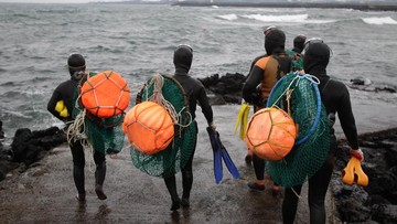 Kisah Kylie Genter, Warga AS Pertama yang Jadi Haenyeo di Pulau Jeju