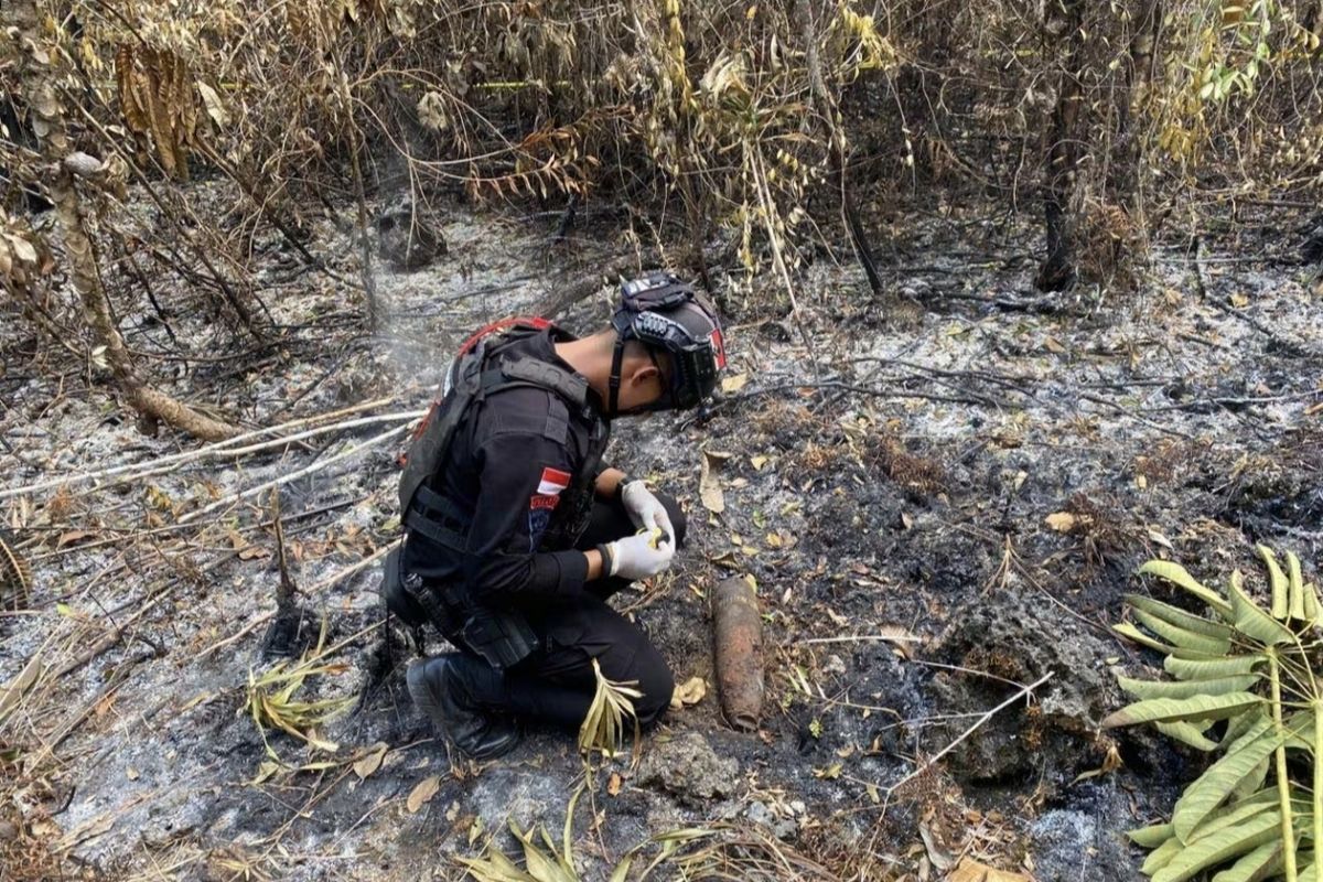 Mortir Aktif Peninggalan Perang Dunia II Ditemukan di Hutan Biak Numfor Saat Pemadaman Karhutla, Tim Jibom Diterjunkan