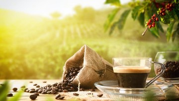 Ngopi Sambil Peduli Sampah, Ini Cara Kelola Ampas dan Kemasan Bekas
