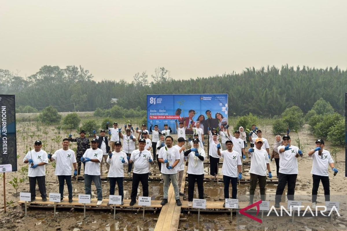 Angkasa Pura Tanam 14.000 Mangrove di Kubu Raya, Cegah Abrasi Pesisir