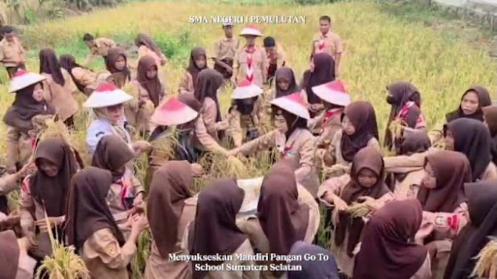 SMAN 1 Pemulutan Ajak Ratusan Siswa Panen Padi di Lahan Sekolah, Padukan HUT Pramuka dengan Edukasi Ketahanan Pangan