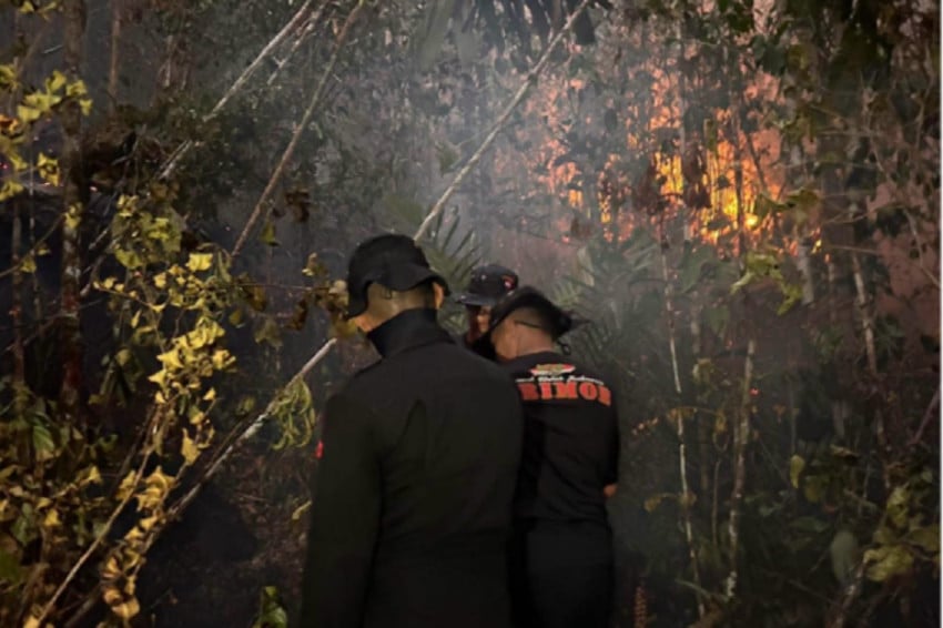 Titik Api Muncul Lagi di Biak Numfor, Warga Taman Mandow Minta Bantuan Alat Pemadam yang Mudah Dibawa ke Pegunungan