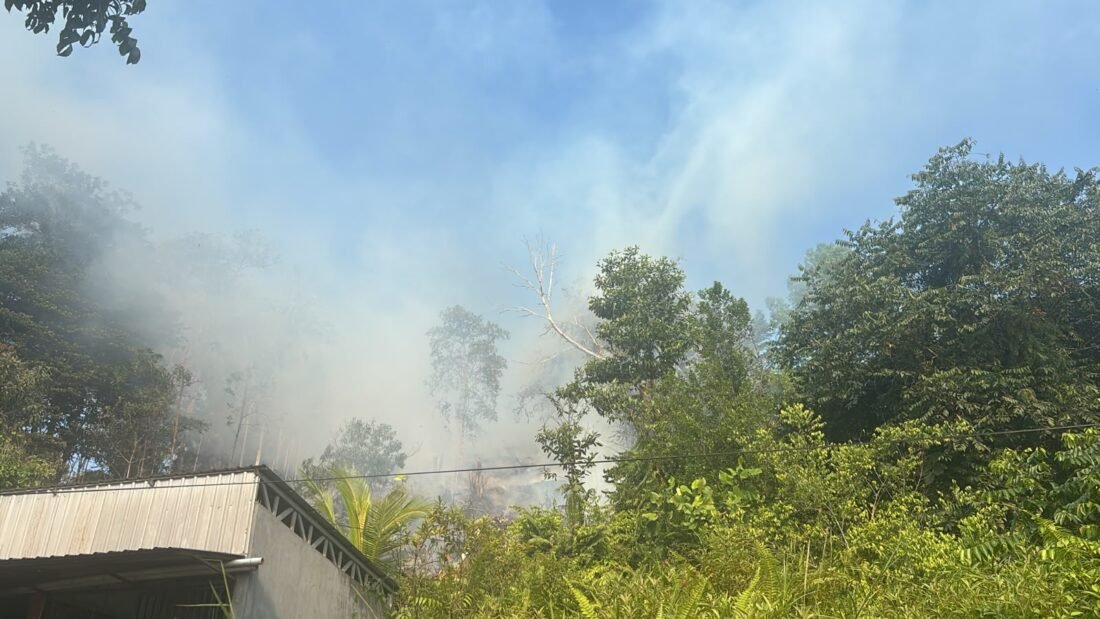 BMKG Tarakan Sebut Kabut Asap Karhutla Ganggu Penguapan dan Proses Pembentukan Awan