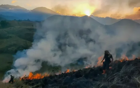 Kemenkes Sebar 5,3 Juta Masker untuk 5,4 Juta Warga Terdampak Karhutla di 7 Provinsi, Stok Tersisa 2,7 Juta