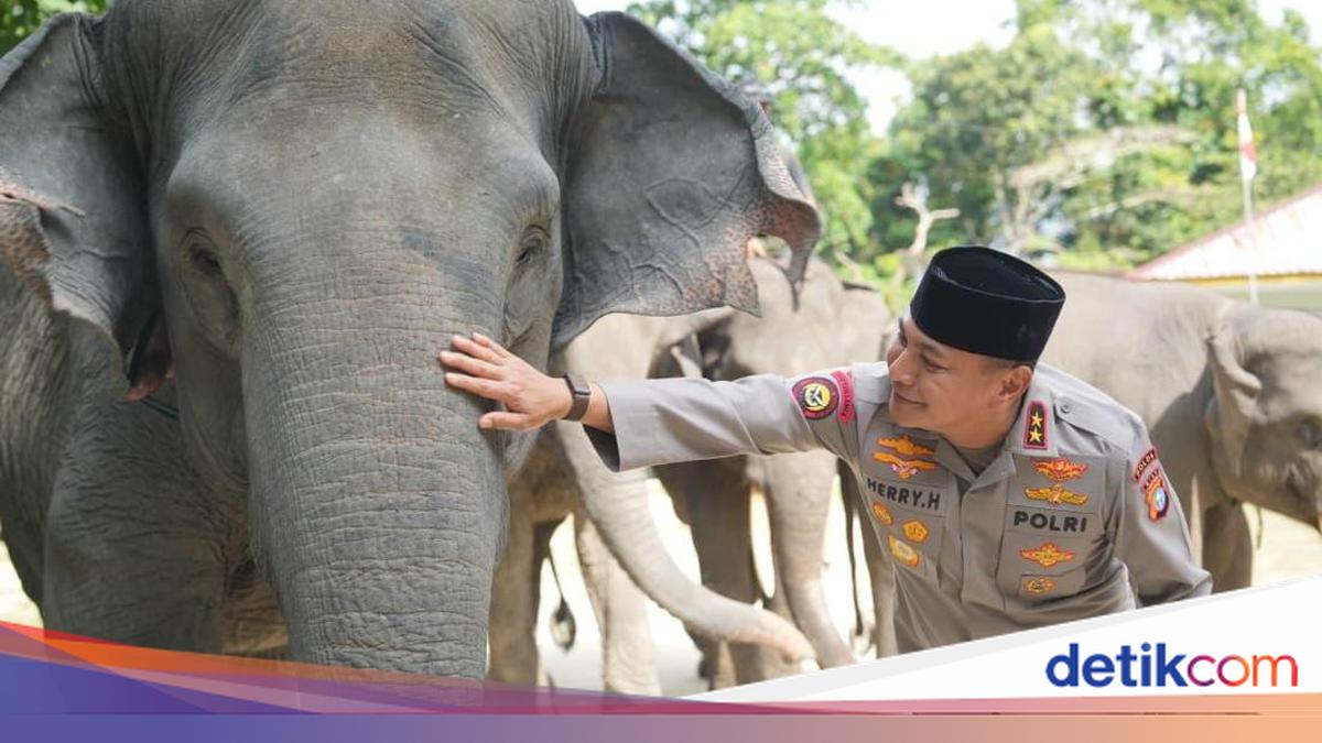 Kapolda Riau Irjen Herry Heryawan Raih detikSumatera Awards 2026, Penghargaan untuk Pelopor Green Policing dan Perlindungan Ekosistem
