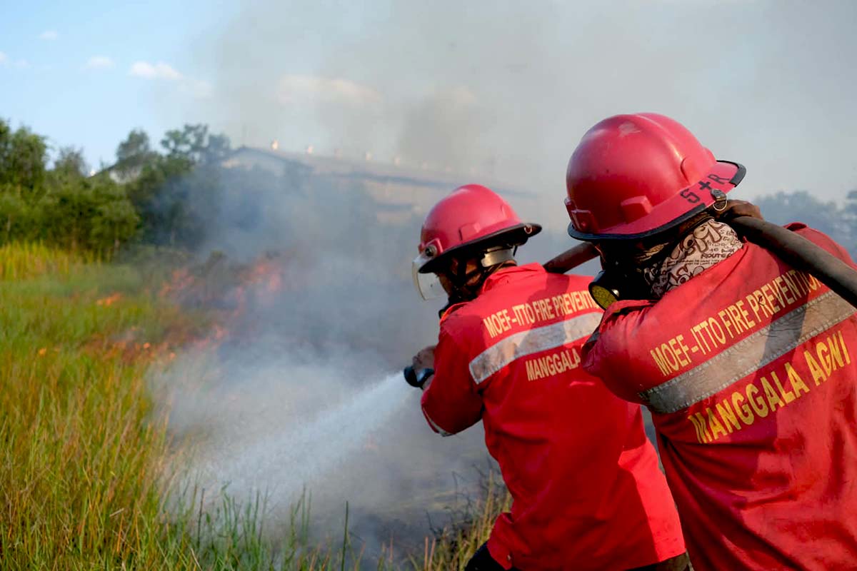 Kabut Asap Kembali Selimuti Sumatera Selatan, Peneliti Sebut Karhutla Tak Akan Berhenti Tanpa Perbaikan Tata Kelola Air