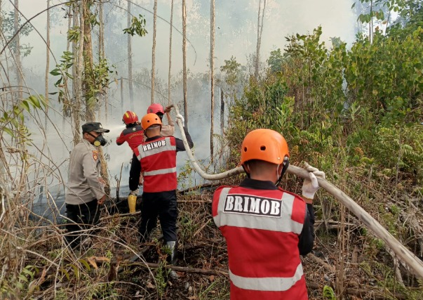 Sat Brimob Polda Kaltim Padamkan 5 Titik Karhutla di Kutai Barat, Paser, Kukar dan Berau, Ratusan Hektare Lahan Terancam