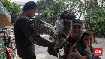 Flona 2026 Dibuka, Lapangan Banteng Langsung Diserbu Pengunjung di Hari Pertama