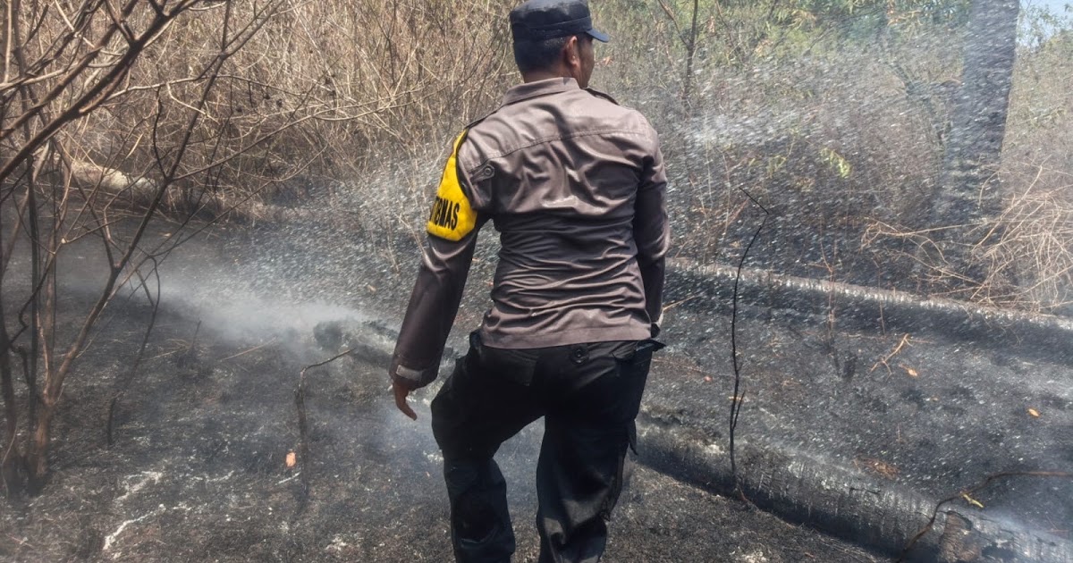 Bhabinkamtibmas Morotai Bripka Faisal Kadir Padamkan Karhutla di Desa Pandanga, Api Padam dalam 75 Menit