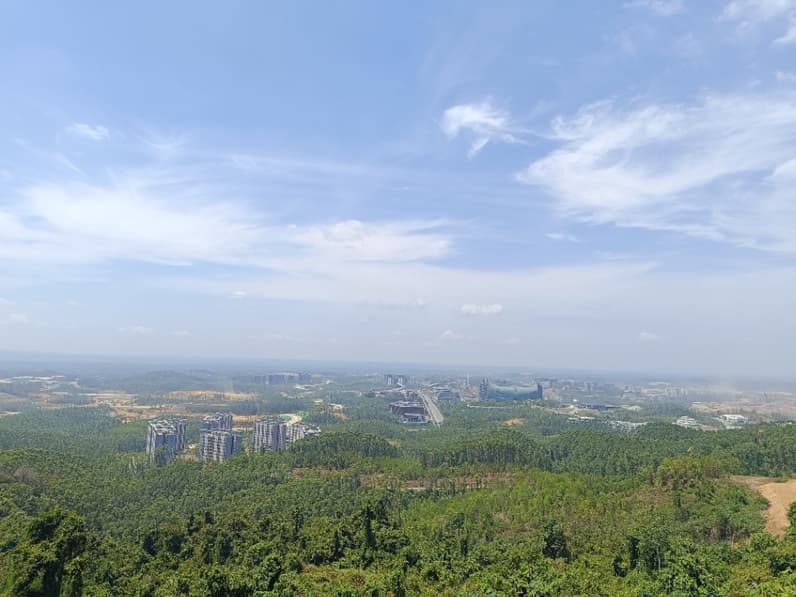 Kabut Asap Karhutla Selimuti Kawasan IKN, Otorita Tunda Program Penanaman Pohon Hingga November 2026