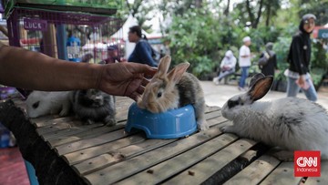 FLONA 2026 di Lapangan Banteng: Enam Zona Ekoregion, Satu Tiket Gratis