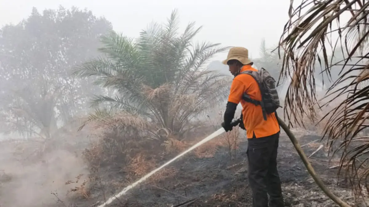 Kualitas Udara Pelalawan Kembali Memburuk ke Level Sangat Tidak Sehat, PM2.5 Tembus Angka 276