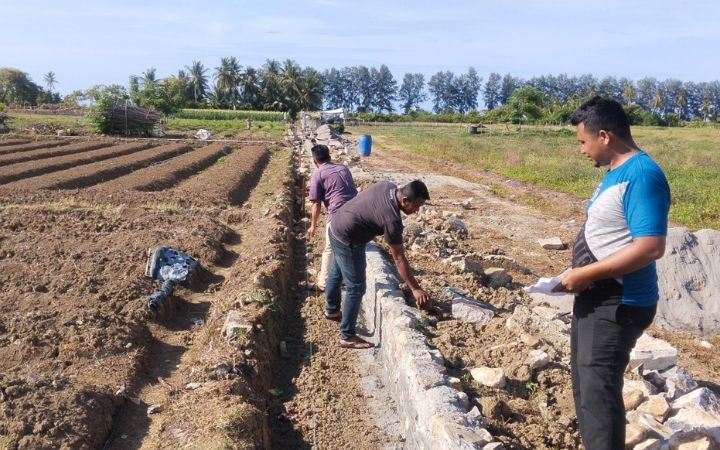 Pemprov Aceh Kejar Pemulihan 40.852 Hektare Sawah Rusak, Serapan Anggaran Capai Rp 272,3 Miliar