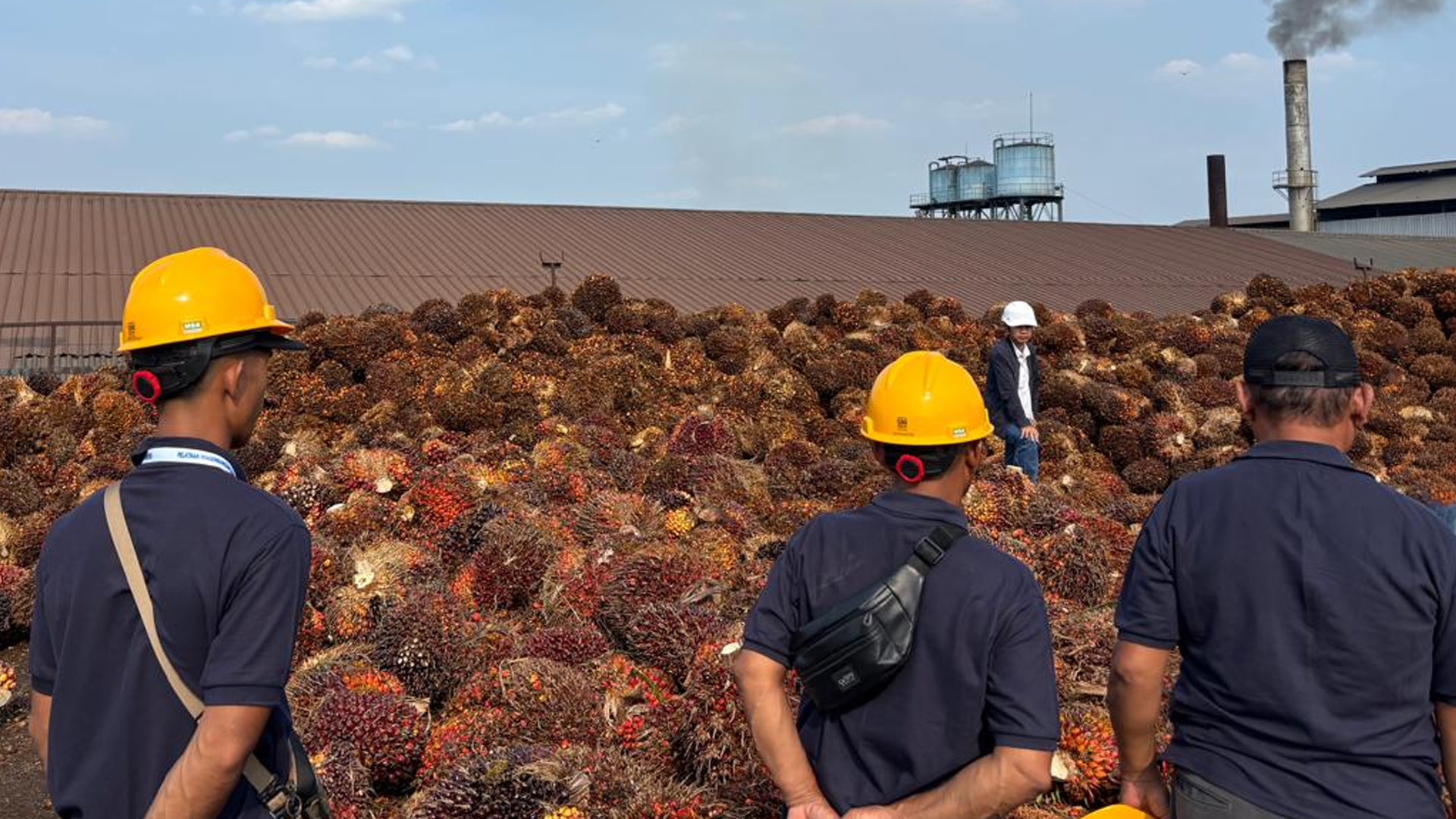 111 Pekebun Sawit Sumsel dari Musi Rawas dan Muara Enim Ikut Pelatihan Panen di Palembang, Ini Targetnya
