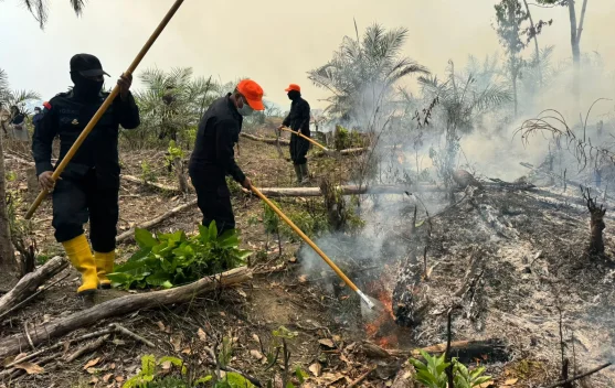 9 Personel Brimob Polda Jambi Padamkan Karhutla di Tebo, Kapolda Ingatkan Warga Dilarang Bakar Lahan