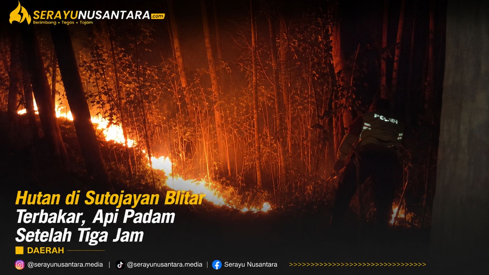 Kebakaran Hutan di Sutojayan Blitar Hanguskan 1,5 Hektare, Api Padam Usai Tiga Jam