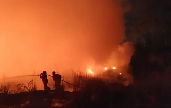 TPA Waringinkurung Terbakar, Polisi Selidiki Dugaan Pembuangan Sampah Ilegal di Lahan Bekas Tempat Pembuangan