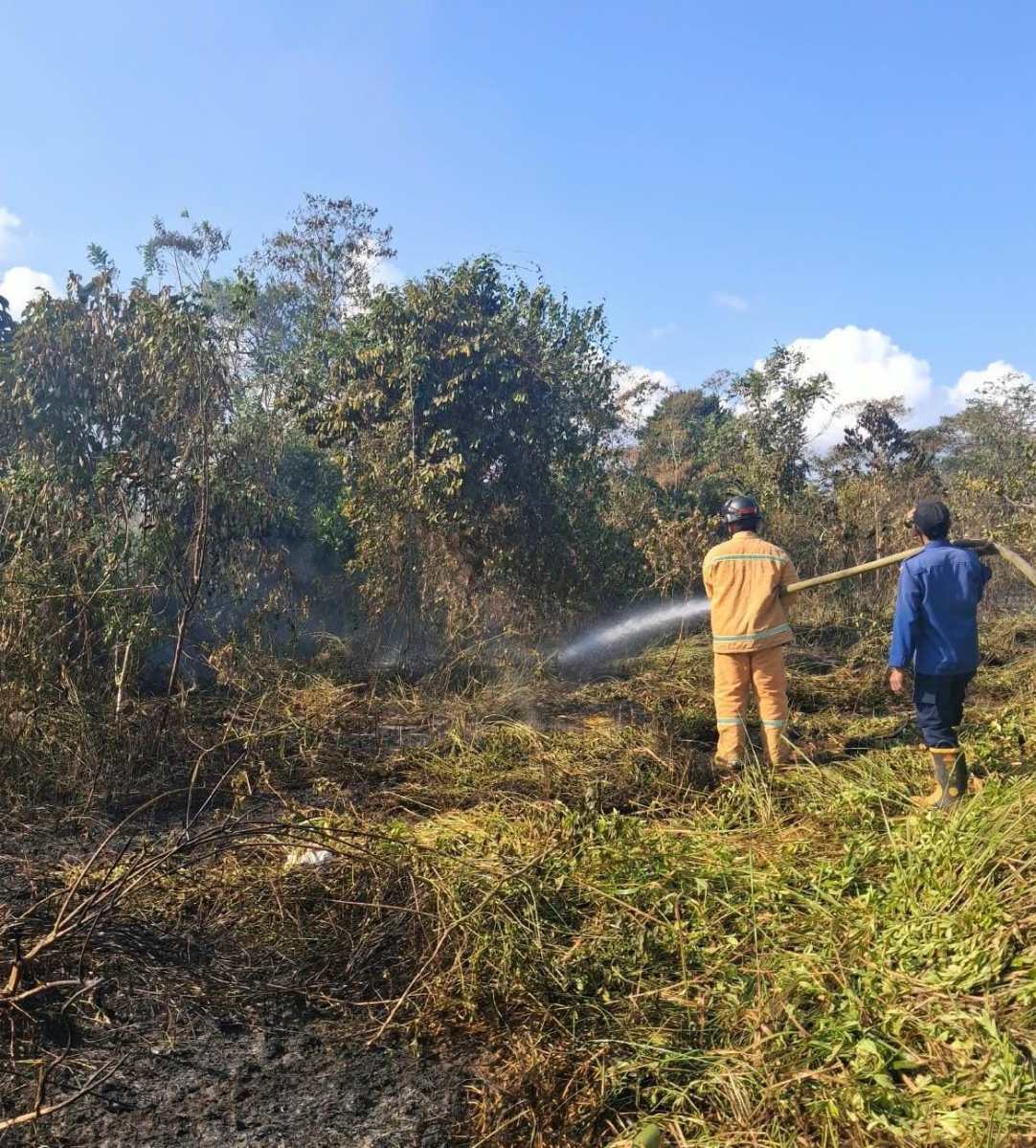 Kebakaran Lahan 1 Hektare di Nanga-Nanga Kendari Berhasil Dipadamkan, Damkar Kerahkan Unit 014