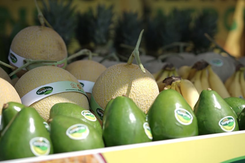 Melon Petani Binaan Sunpride Tembus Singapura, Blitar Kirim Perdana ke Luar Negeri