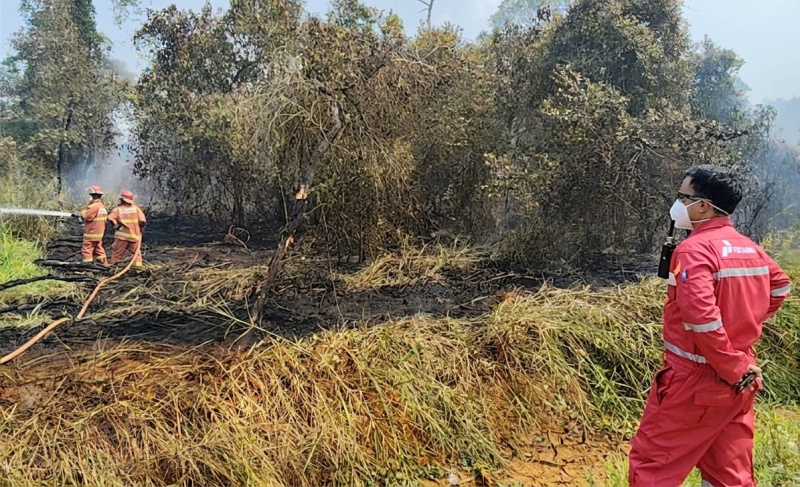 Kilang Plaju dan BPBD Sumsel Latih Warga Desa Sungai Rebo Padamkan Karhutla, Antisipasi Puncak Kemarau