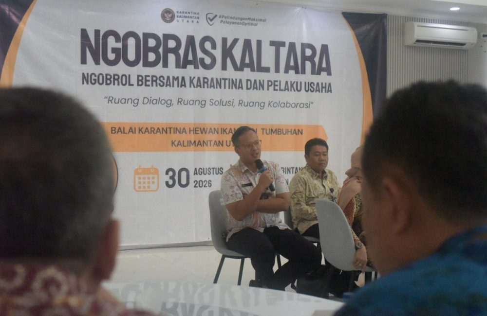 Barantin Catat 3.704 Sertifikasi Ekspor Kaltara Capai Rp2,2 Triliun, Udang Windu Jadi Primadona