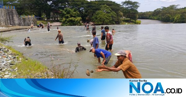 Petani Nagan Raya Bersihkan Sendiri Pintu Air Ulee Jalan, Dinas Pertanian Minta BWS Turun Tangan Keruk dengan Alat Berat