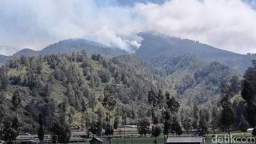 Kebakaran TNBTS Hanguskan 160 Hektare, Rumput Endemik Malelo dan Habitat Rusa Terdampak