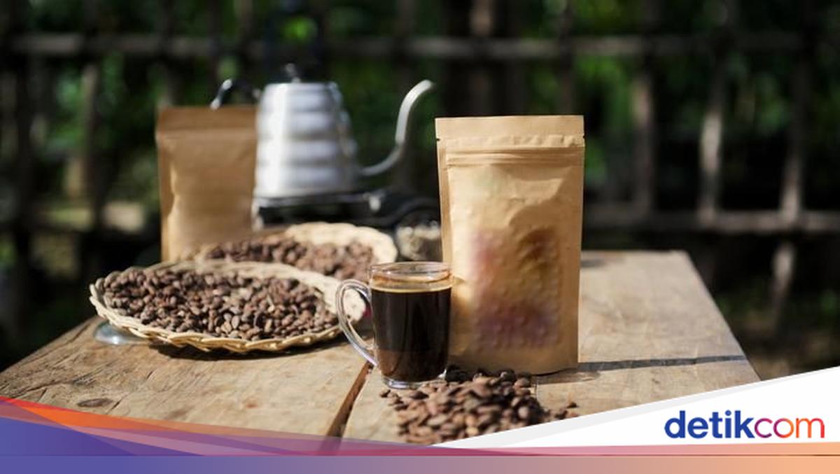 5 Keistimewaan Kopi Gayo yang Diakui Dunia, Bukan Cuma Soal Rasa