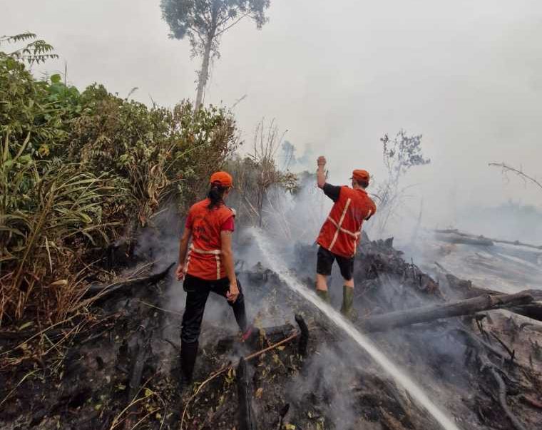 Relawan Karhutla Melawi Butuh Dukungan Logistik, KPA Ciwanadri Dorong Dapur MBG Dilibatkan