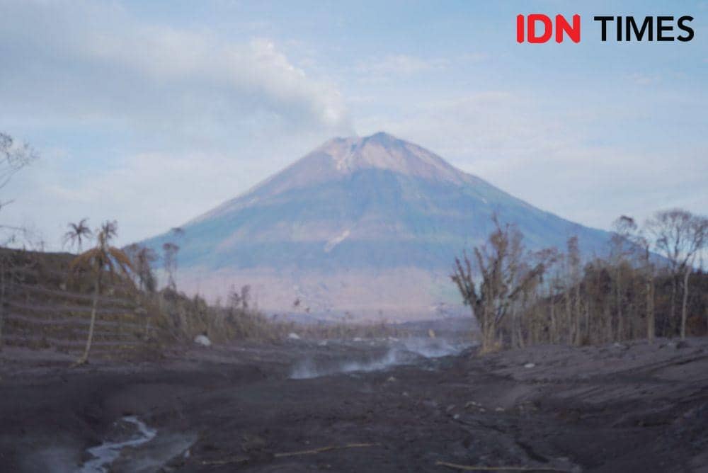 7 Gunung di Indonesia dengan Pemandangan Setara Gunung Fuji, dari Kawah Aktif hingga Lautan Awan