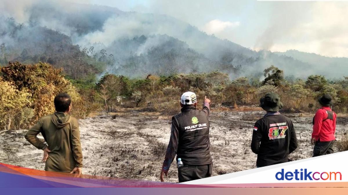50 Hektare Lahan di Luwu Terbakar Selama Sebulan, Enam Titik Masih Bisa Saja Meluas