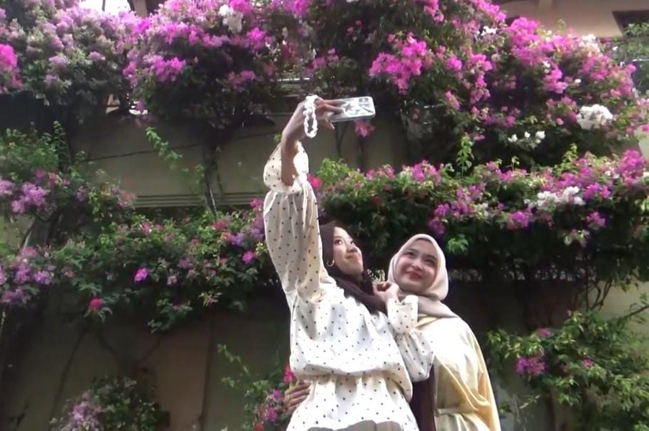 Gang Sederhana di Pleburan Semarang Jadi Incaran Pemburu Foto Berkat Rimbunan Bunga Bugenvil, Warga Ngaliyan Rela Jauh-Jauh